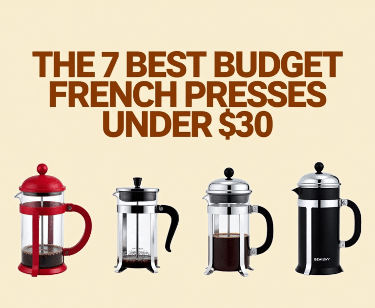 the 7 best budget French presses under $30