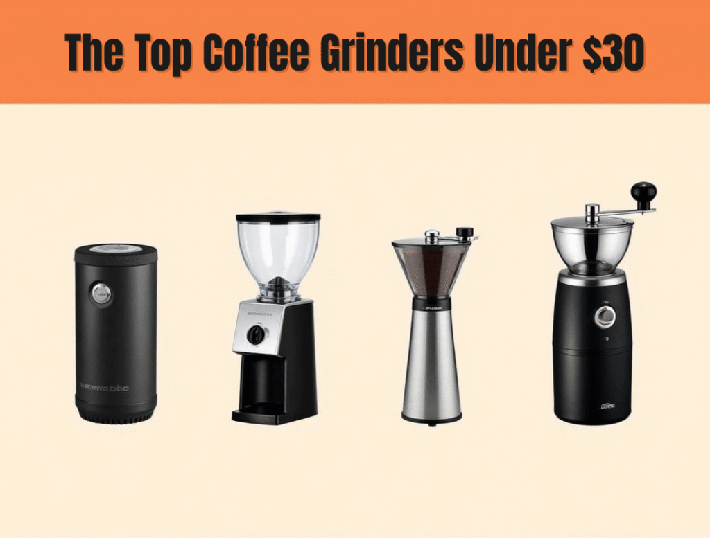 the top coffee grinders under $30