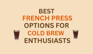 best French press options for cold brew coffee